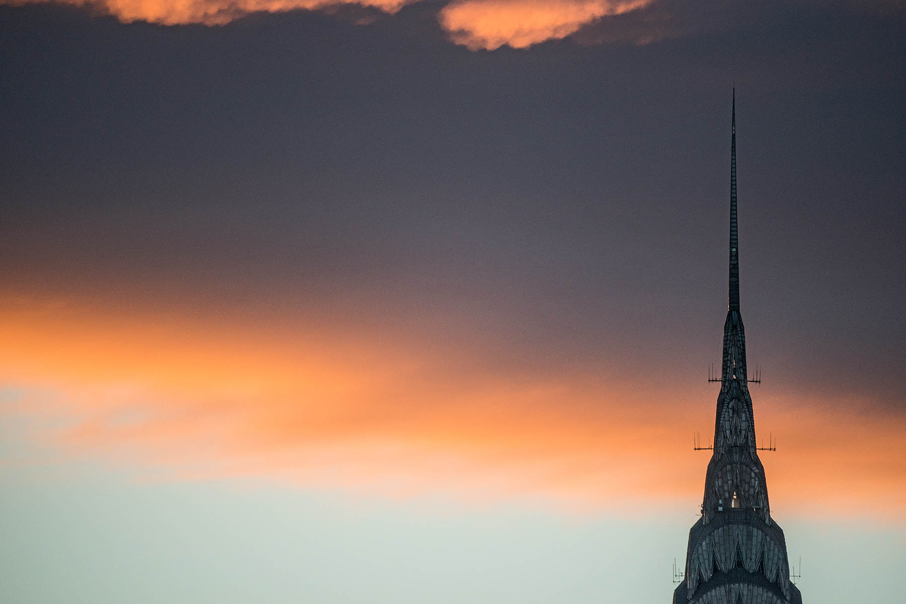 _D8A4277_1.jpg